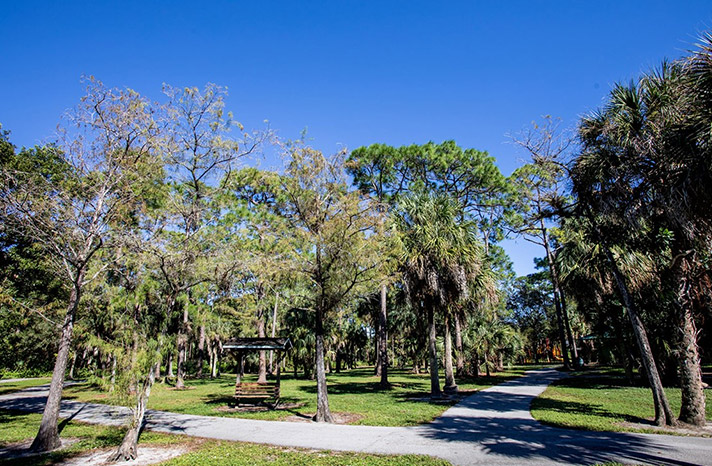 Sherwood Forest Park